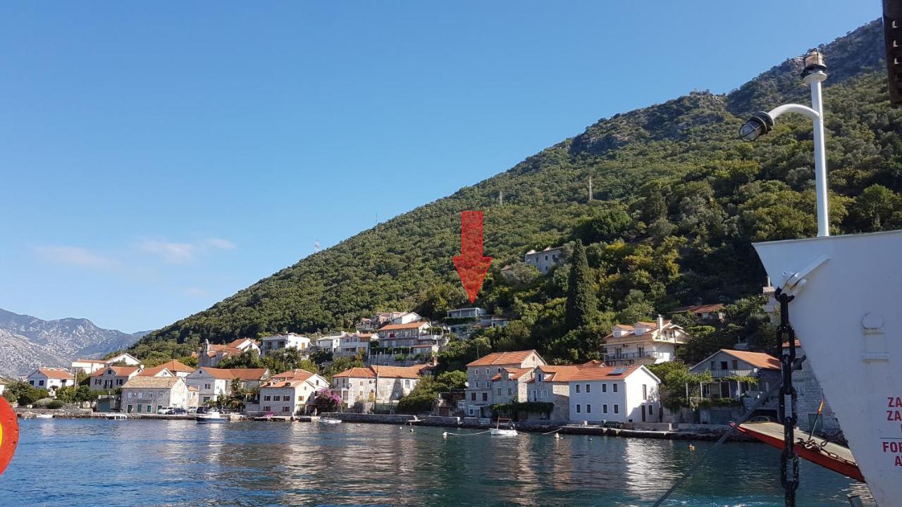 Apartments Eftimov Tivat Eksteriør bilde